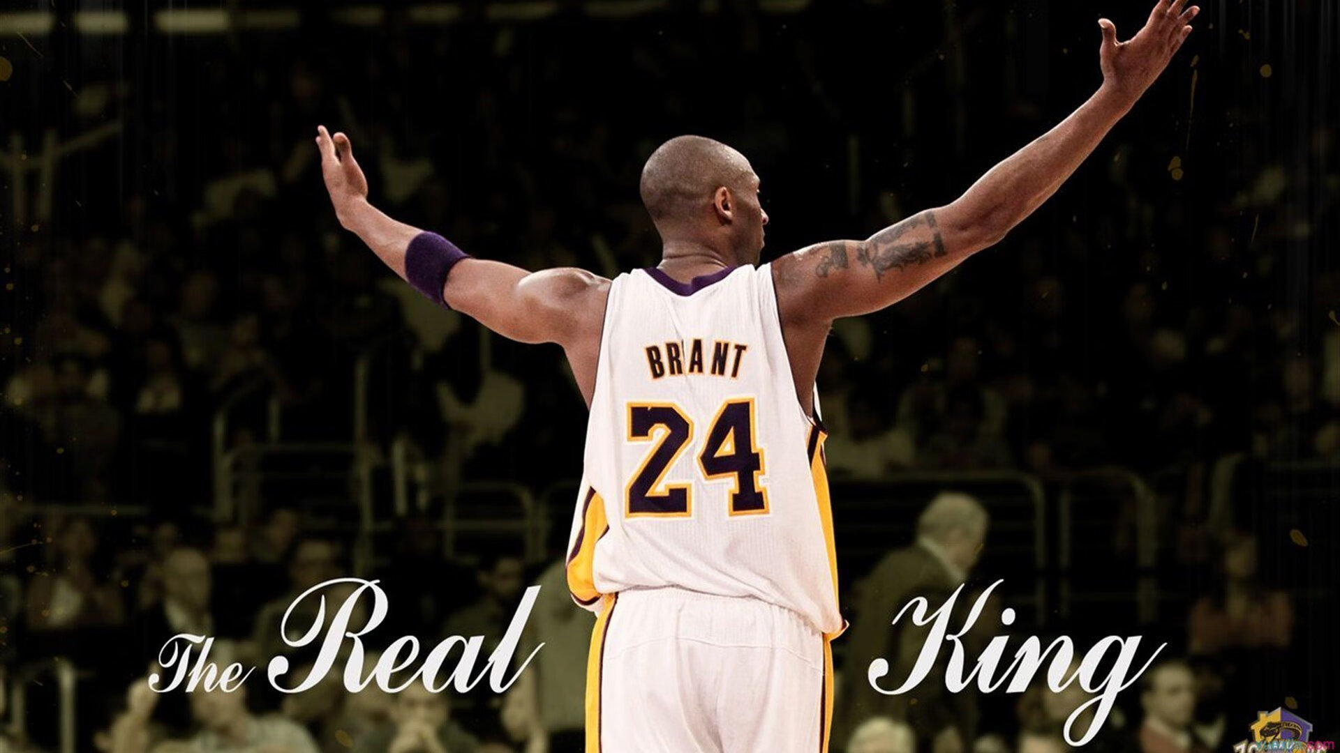 _多彩运动嘉年华：全民参与的欢乐盛会_，多姿多彩运动会